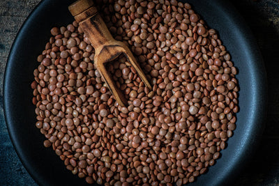 Wholesome Lentil Loaf