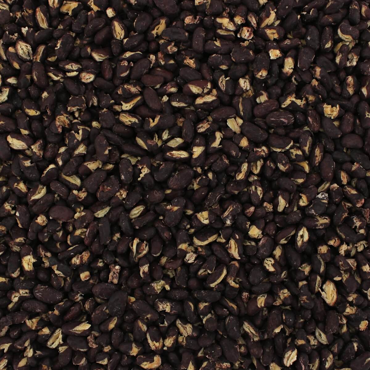 Bean & Legume Sampler (8 ZIP Pouches)