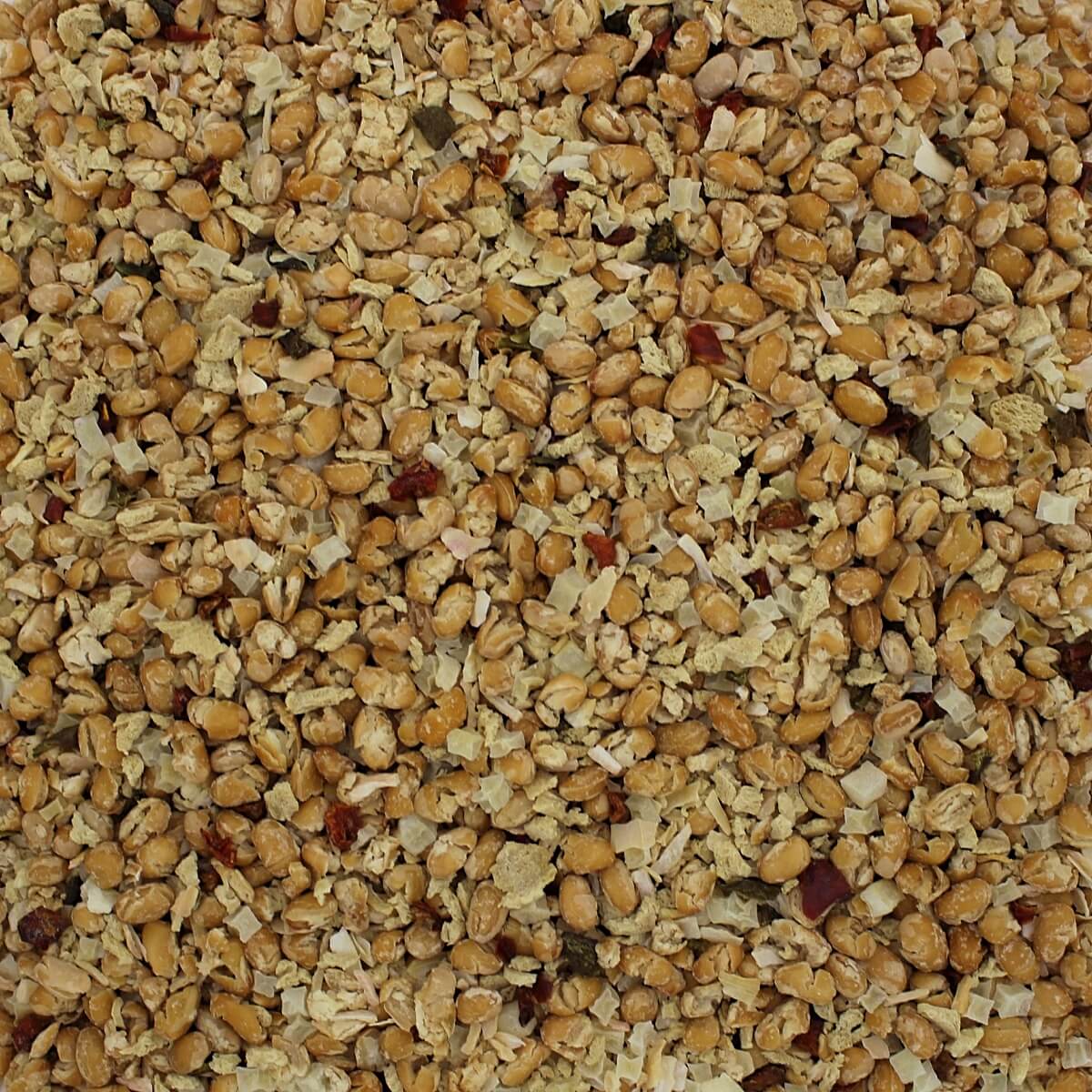 Navy Bean Soup Mix - PLAIN