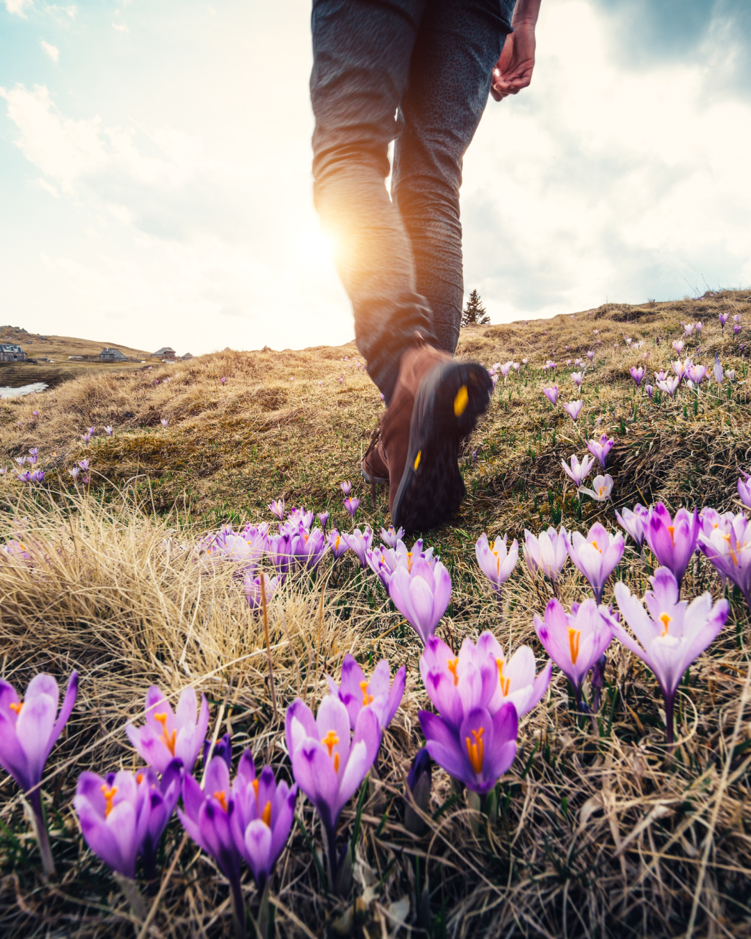 Welcome Spring on the Trail