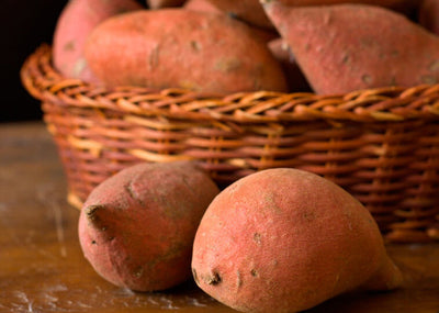 Rediscover Your Roots!