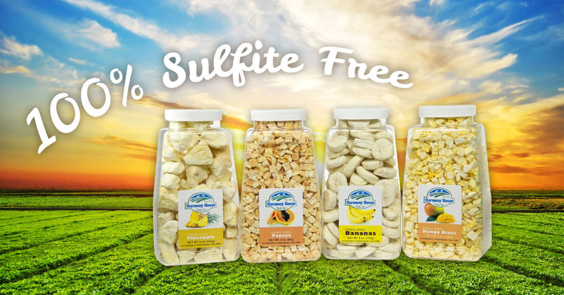 Sulfur Dioxide FAQ: Top Reasons Why Harmony House Only Sells Sulfite-Free Freeze Dried Fruits