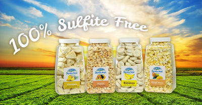 Sulfur Dioxide FAQ: Top Reasons Why Harmony House Only Sells Sulfite-Free Freeze Dried Fruits