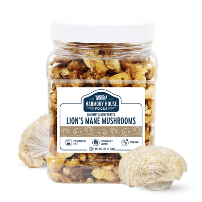 Gourmet Lion's Mane Mushrooms (Pom Pom)