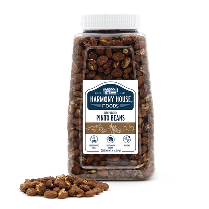 Pinto Beans