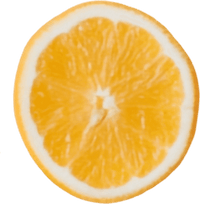 Close-up of a sliced orange on a transparent background