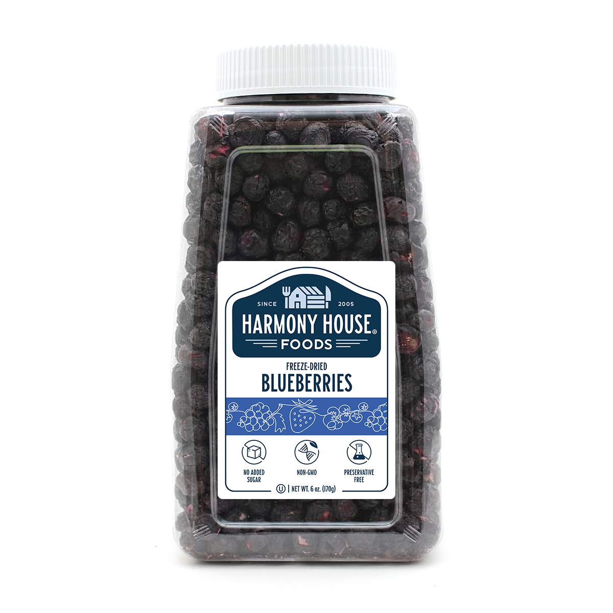 Freeze Dried Blueberries