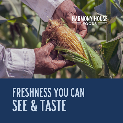 Freeze Dried Super Sweet Corn