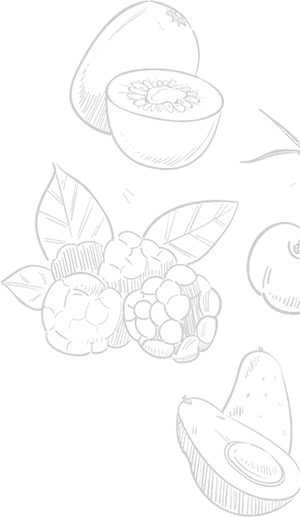 Illustrations of various fruits and berries on a teal background