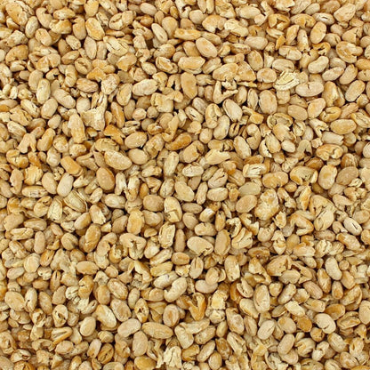 Bean & Legume Pantry Stuffer (8 Varieties, Quart Size)