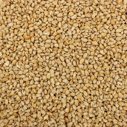 Bean & Legume Pantry Stuffer (8 Varieties, Quart Size)