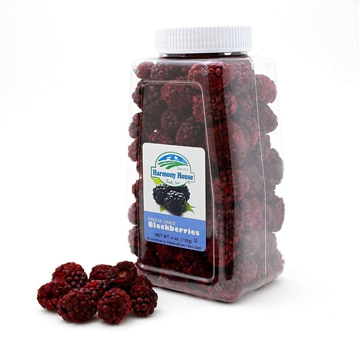 Freeze Dried Blackberries