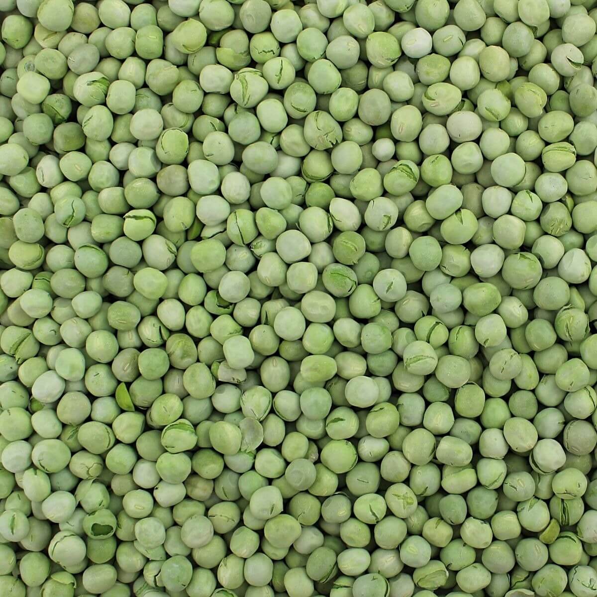 Freeze Dried Green Peas
