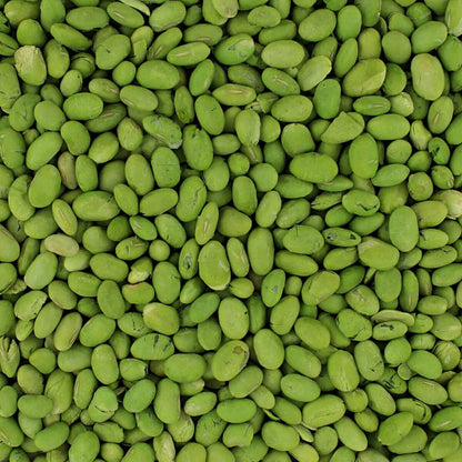 Freeze Dried Soybeans (8 oz)