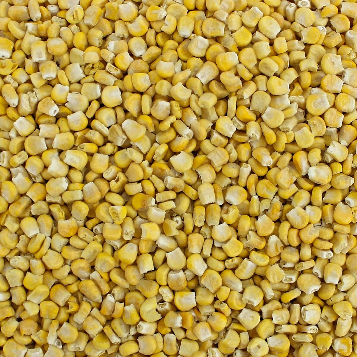Freeze Dried Super Sweet Corn