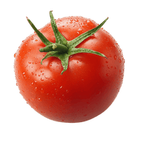 Fresh tomato with water droplets on a transparent background