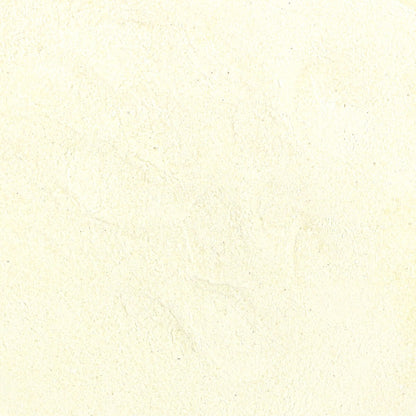 Freeze Dried Pineapple Powder (4 Cups / 64 Tbs)