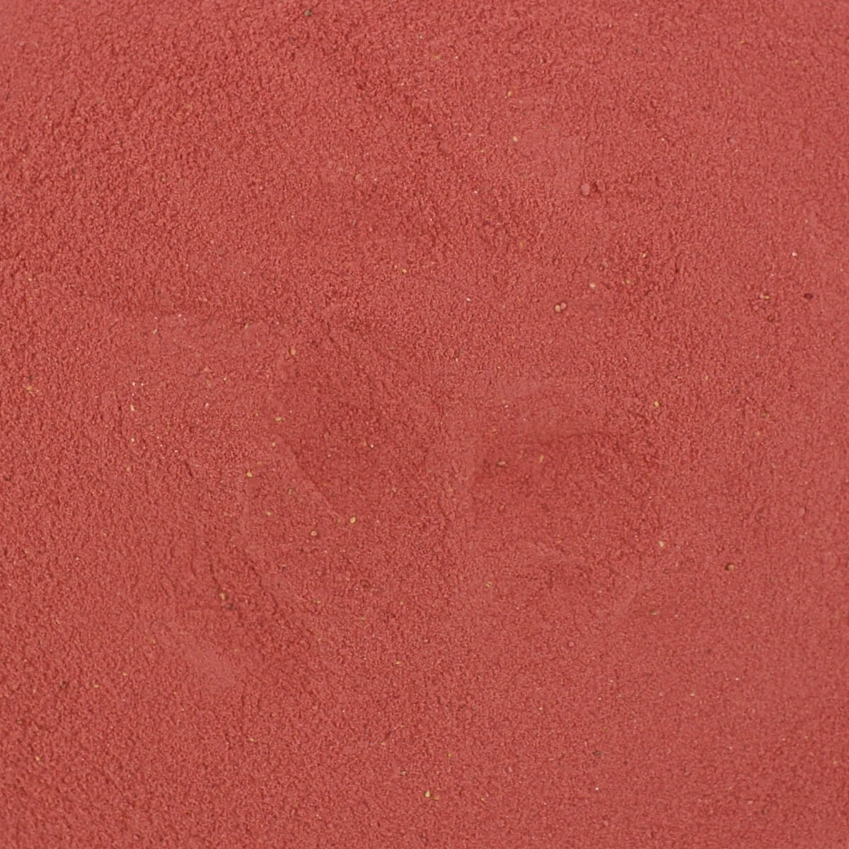 Freeze Dried Strawberry Powder & Bits (4 Cups)