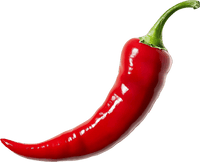 Red chili pepper on a transparent background