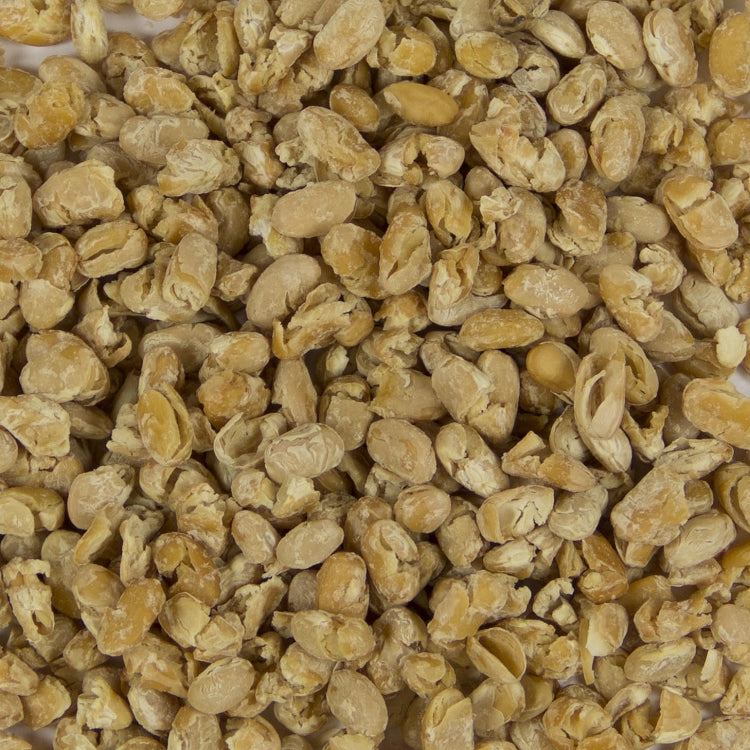 Dehydrated Great Northern Beans