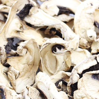 Champignon Mushrooms