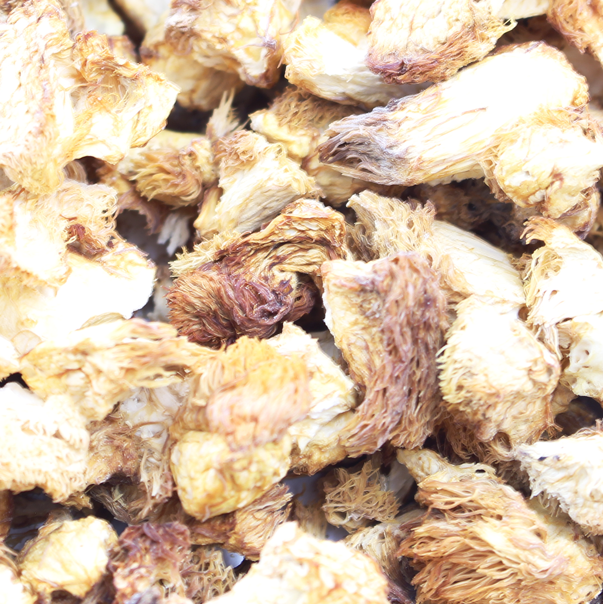 Gourmet Lion's Mane Mushrooms (Pom Pom)