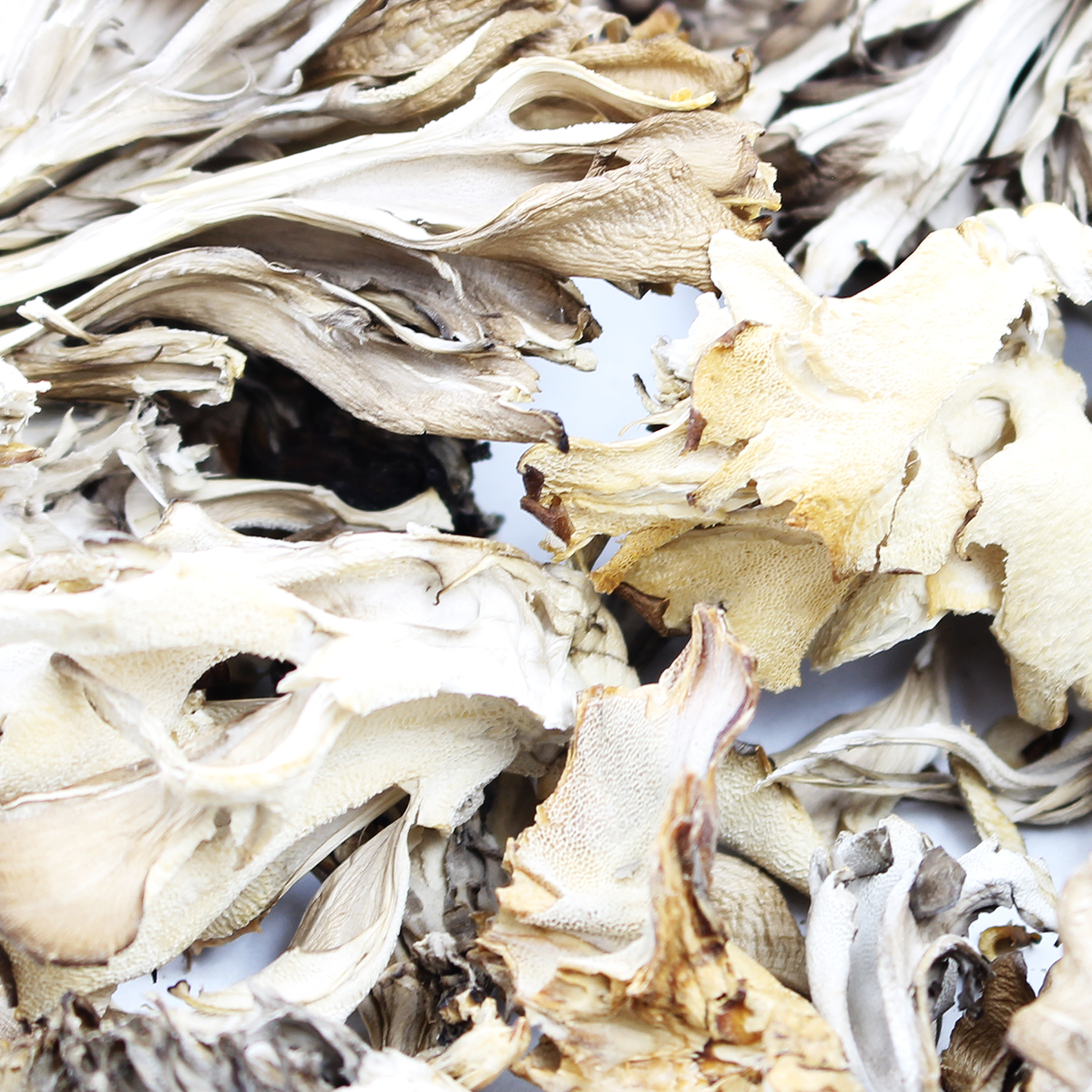 Gourmet Maitake Mushrooms