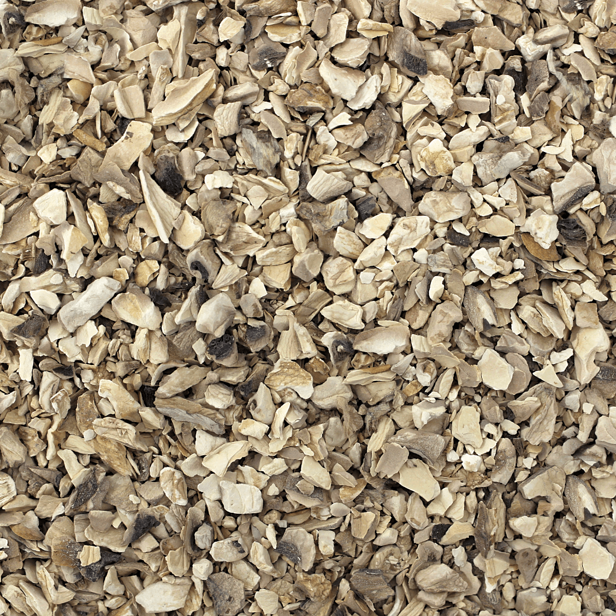 Dried Mushrooms, Bits & Pieces