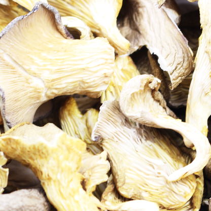 Oyster Mushrooms