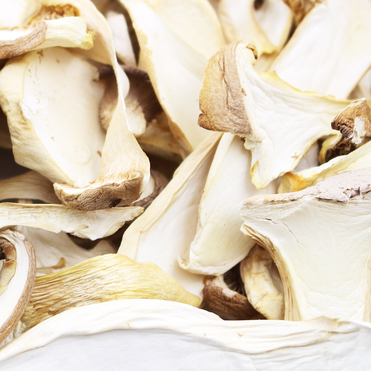 Royal Trumpet Mushrooms