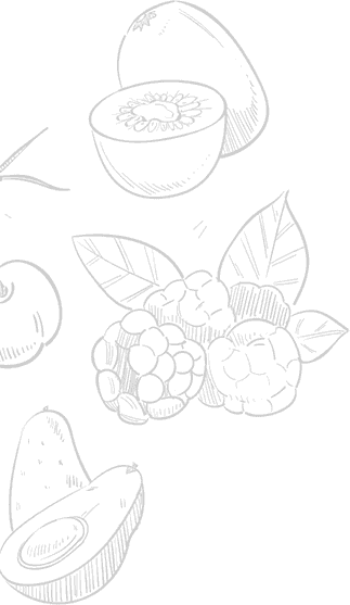 Illustrations of various fruits and berries on a teal background