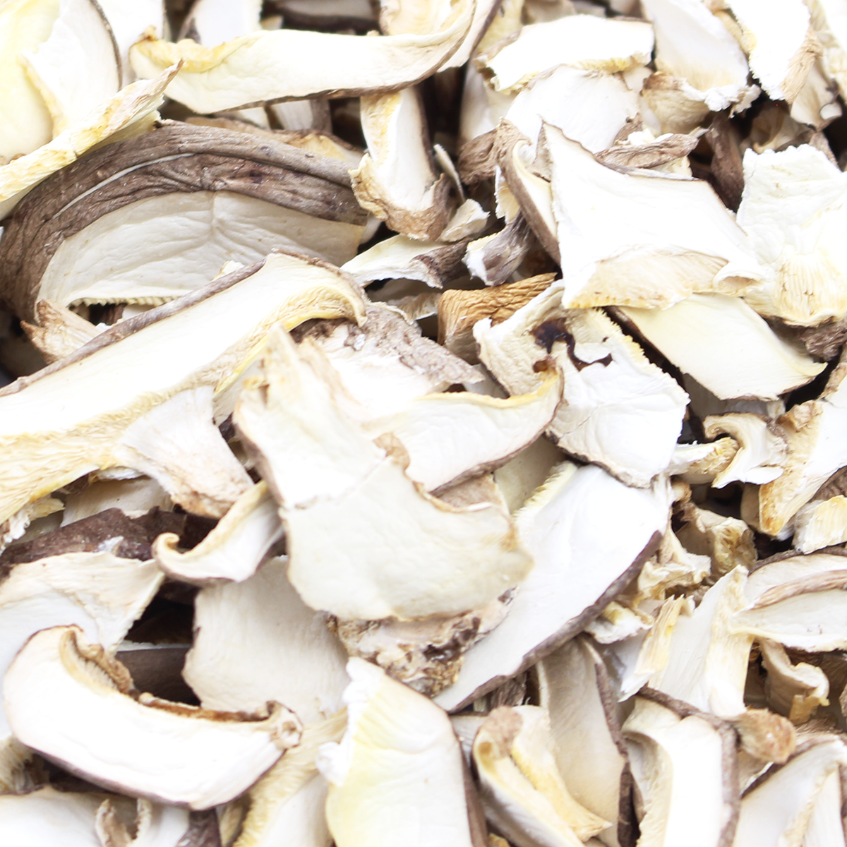 Mushroom Pantry Stuffer (7 Varieties, Quart Size)